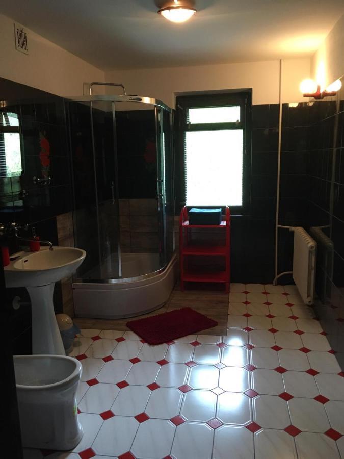 Forest Villa Susiec المظهر الخارجي الصورة