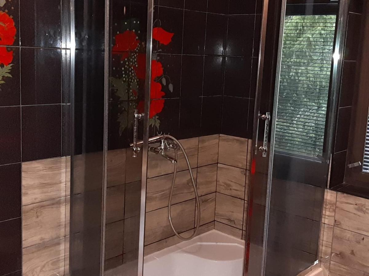 Forest Villa Susiec المظهر الخارجي الصورة